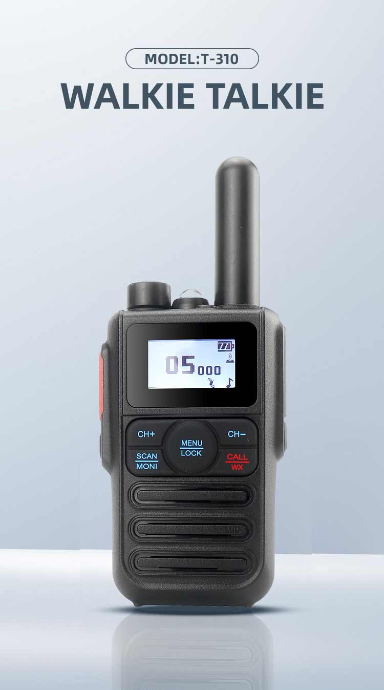 T-310_01 T-310_01